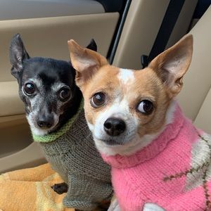 Meet your Posher, Mary